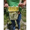 Summer Crossbody Crochet Purse